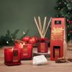 Picture of HEART & HOME BAMBOO DIFFUSER - SPICE APPLE & CINNAMON